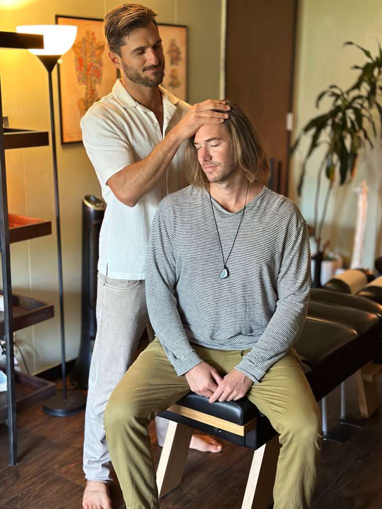 Holistic chiropractor san diego, spinal adjustment, nervous system regulation